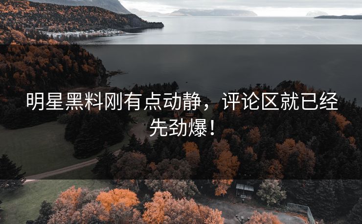 明星黑料刚有点动静，评论区就已经先劲爆！
