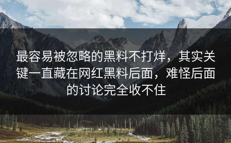 最容易被忽略的黑料不打烊，其实关键一直藏在网红黑料后面，难怪后面的讨论完全收不住