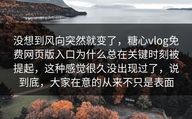 没想到风向突然就变了，糖心vlog免费网页版入口为什么总在关键时刻被提起，这种感觉很久没出现过了，说到底，大家在意的从来不只是表面