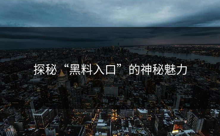 探秘“黑料入口”的神秘魅力