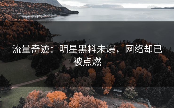 流量奇迹:明星黑料未爆,网络却已被点燃 流量奇迹:明星黑料未爆,网络却已被点燃